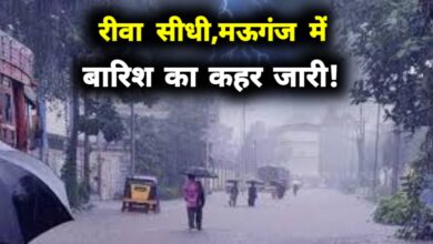 विंध्य में कहर बनी बारिश: रीवा, सीधी और मऊगंज में बाढ़ जैसे हालात, नदियां-नाले उफान पर