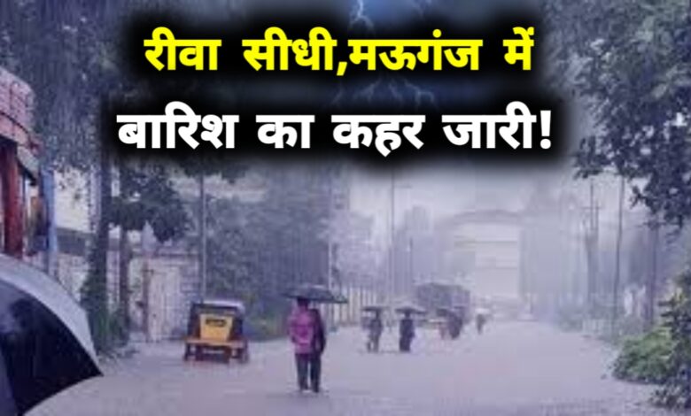 विंध्य में कहर बनी बारिश: रीवा, सीधी और मऊगंज में बाढ़ जैसे हालात, नदियां-नाले उफान पर