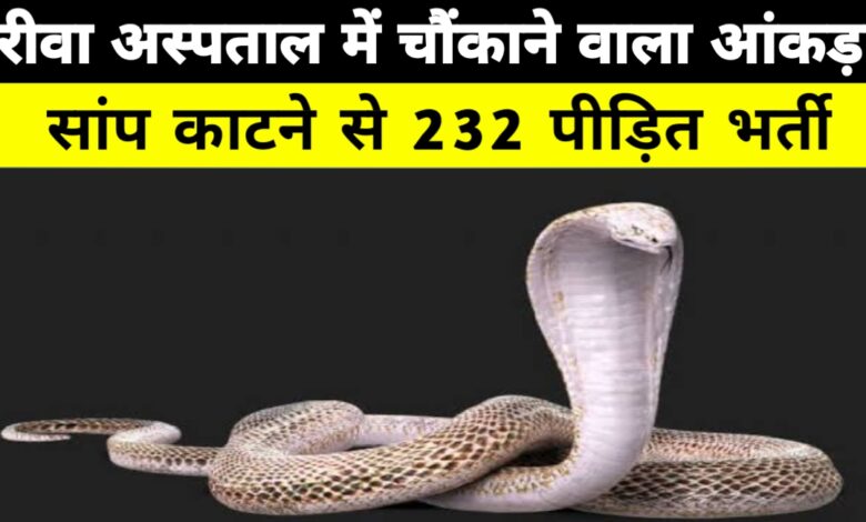 रीवा बना सर्पदंश के मामलों में प्रदेश में दूसरा सबसे प्रभावित जिला, 108 एम्बुलेंस बनी जीवन की डोर रीवा बना सर्पदंश के मामलों में प्रदेश में दूसरा सबसे प्रभावित जिला, 108 एम्बुलेंस बनी जीवन की डोर