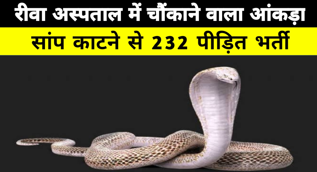 रीवा बना सर्पदंश के मामलों में प्रदेश में दूसरा सबसे प्रभावित जिला, 108 एम्बुलेंस बनी जीवन की डोर