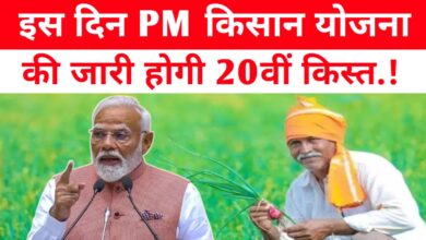 PM किसान योजना: सितंबर में आ रही है 20वीं किस्त, करोड़ों किसानों को मिलेगा 2000 रुपये का लाभ