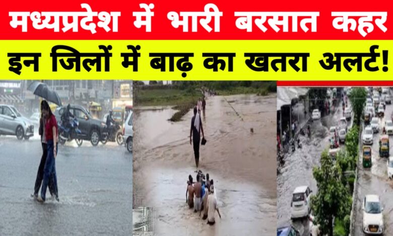 सावन की झमाझम बारिश से भीगा मध्यप्रदेश: कई नदियां उफान पर, इन जिलों में भारी बारिश का अलर्ट! सावन की झमाझम बारिश से भीगा मध्यप्रदेश: कई नदियां उफान पर, इन जिलों में भारी बारिश का अलर्ट!