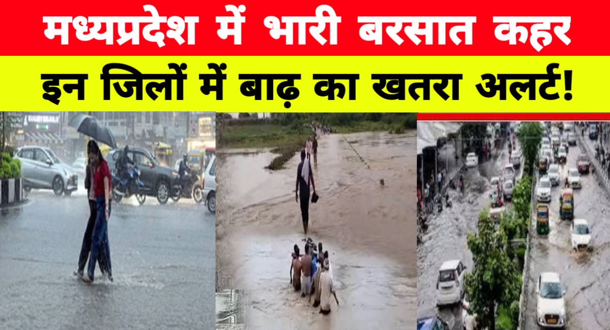 सावन की झमाझम बारिश से भीगा मध्यप्रदेश: कई नदियां उफान पर, इन जिलों में भारी बारिश का अलर्ट!