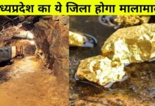 जबलपुर की धरती में मिला सोना: सिहोरा में 100 हेक्टेयर क्षेत्र में खजाने की संभावना