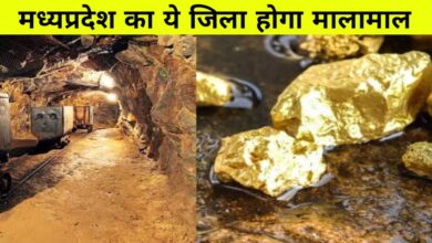 जबलपुर की धरती में मिला सोना: सिहोरा में 100 हेक्टेयर क्षेत्र में खजाने की संभावना