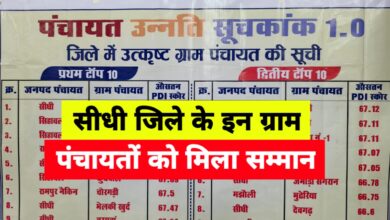सीधी में पंचायत उन्नति कार्यशाला का भव्य आयोजन, 20 ग्राम पंचायतों को मिला सम्मान