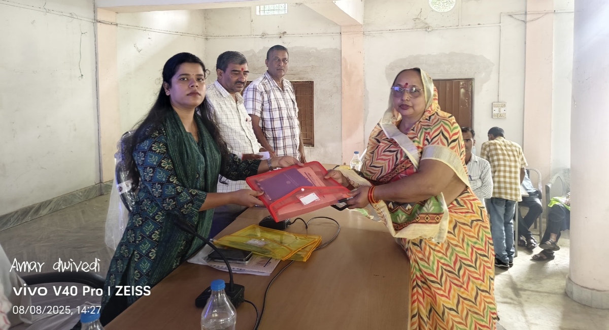 सिहावल में पंचायत उन्नति सूचकांक 1.0 कार्यशाला, बेहतर रैंकिंग के लिए मिली प्रेरणा