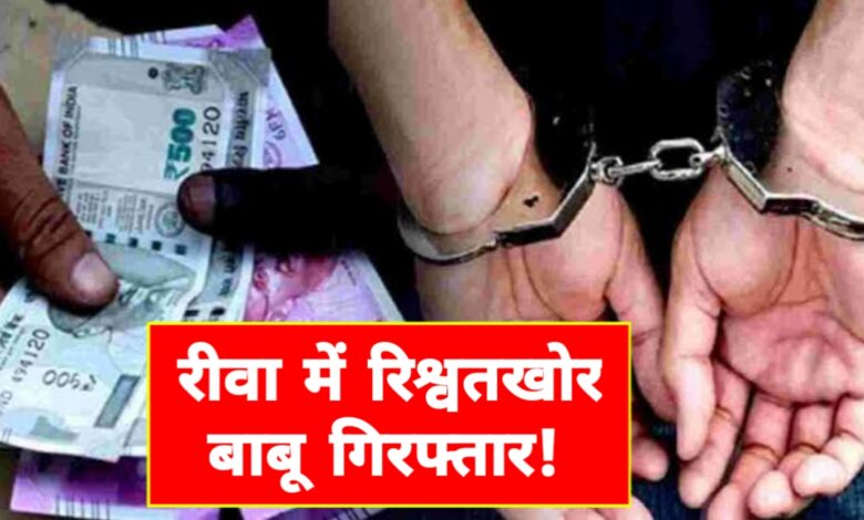 रीवा में लोकायुक्त की बड़ी कार्रवाई: तहसील बाबू रिश्वत लेते रंगे हाथ गिरफ्तार