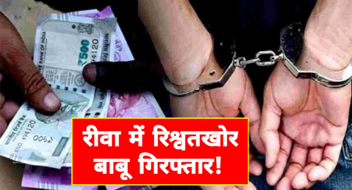 रीवा में लोकायुक्त की बड़ी कार्रवाई: तहसील बाबू रिश्वत लेते रंगे हाथ गिरफ्तार