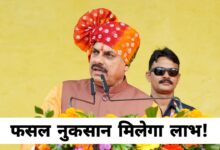 सोयाबीन किसानों को बड़ी राहत: 3 अक्टूबर से बैंक खातों में आएगा मुआवजा
