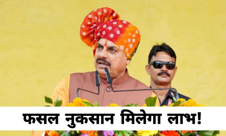सोयाबीन किसानों को बड़ी राहत: 3 अक्टूबर से बैंक खातों में आएगा मुआवजा सोयाबीन किसानों को बड़ी राहत: 3 अक्टूबर से बैंक खातों में आएगा मुआवजा